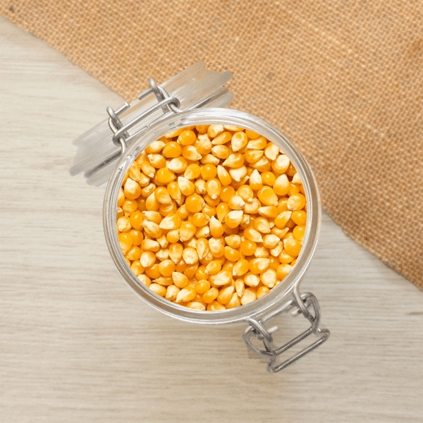 Découvrez notre maïs popcorn, l'essence même du plaisir cinématographique à la maison. Ce maïs est parfait pour des soirées gourmandes. Savourez la simplicité et le croquant du maïs pop-corn pour des moments délicieux à partager.