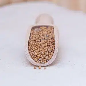 Explorez nos graines de moutarde, un ajout audacieux à votre arsenal culinaire, apportant une saveur légèrement piquante à vos plats. Cultivées avec soin, elles sont idéales pour les marinades, les vinaigrettes et les plats de viande. Leur goût puissant et leur texture croquante rehaussent instantanément vos recettes, qu'il s'agisse d'une sauce maison, d'un condiment ou d'un assaisonnement pour vos grillades. En plus de leur saveur distinctive, les graines de moutarde sont riches en antioxydants et en minéraux, offrant des bienfaits nutritionnels pour une alimentation équilibrée. Ajoutez une note de caractère et une touche de sophistication à vos plats avec nos graines de moutarde de haute qualité, pour une cuisine pleine de saveurs et de créativité.